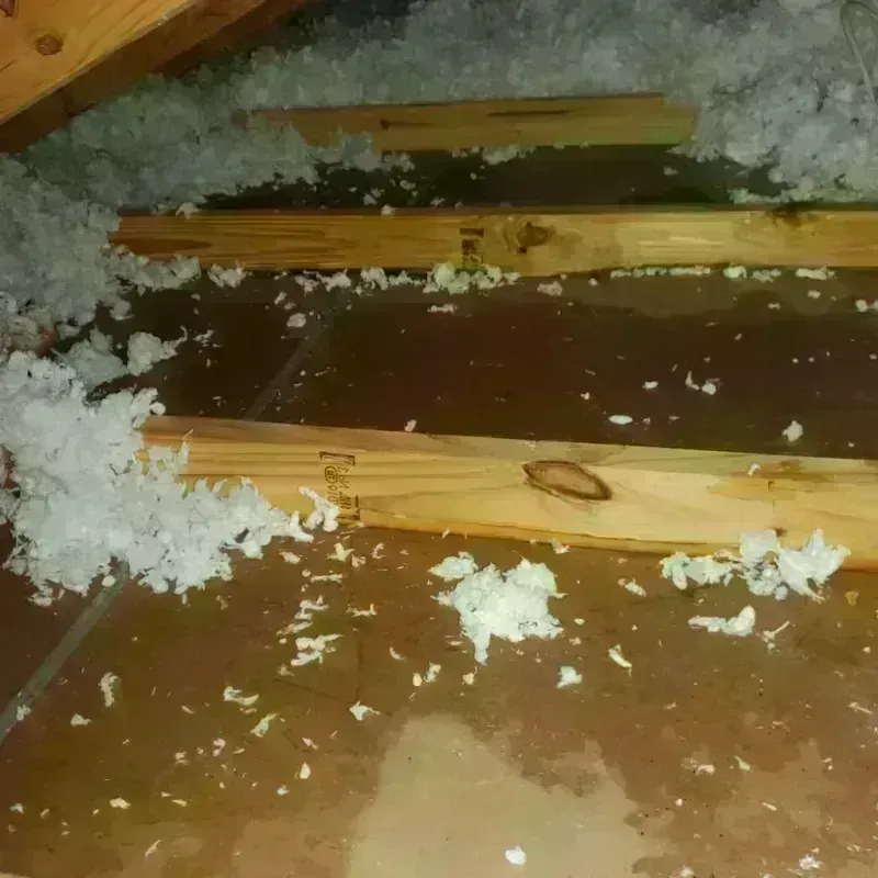 Attic Water Damage in Jaffrey, NH